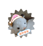 ソラくんと愉快な仲間達♬（個別スタンプ：5）