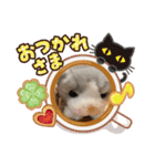 ソラくんと愉快な仲間達♬（個別スタンプ：13）