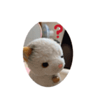 ソラくんと愉快な仲間達♬（個別スタンプ：16）