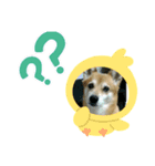 りゅうぅ（個別スタンプ：4）