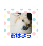 りゅうぅ（個別スタンプ：7）