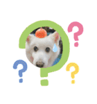 スピッツファミリー③（個別スタンプ：9）