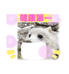 スピッツファミリー③（個別スタンプ：32）