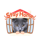 ME  イチ（個別スタンプ：4）