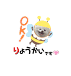 ポメコロちゃん5（個別スタンプ：4）