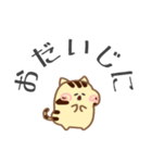 トラ猫のちび1（個別スタンプ：34）