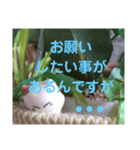 日向ぼっこネコ（個別スタンプ：2）