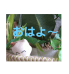 日向ぼっこネコ（個別スタンプ：6）