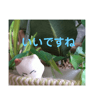 日向ぼっこネコ（個別スタンプ：20）