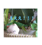 日向ぼっこネコ（個別スタンプ：22）