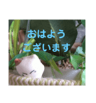 日向ぼっこネコ（個別スタンプ：28）
