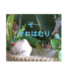 日向ぼっこネコ（個別スタンプ：32）