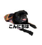 そらそらパワー2（個別スタンプ：7）