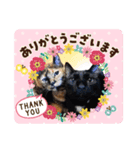 オルガとミカヅキの日常（個別スタンプ：8）
