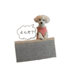 もこりんかわいい（個別スタンプ：2）