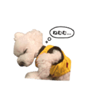 もこりんかわいい（個別スタンプ：3）