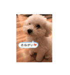 もこりんかわいい（個別スタンプ：7）