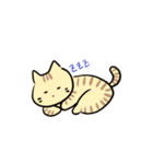 イロイロ。（個別スタンプ：16）