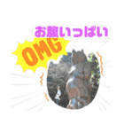 じうめいずはずばんど（個別スタンプ：15）