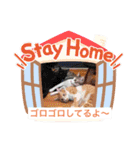 じうめいずはずばんど（個別スタンプ：16）