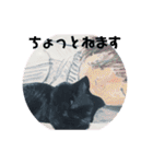 黒猫のひじきとわかめ（個別スタンプ：7）