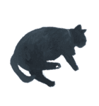 黒猫のひじきとわかめ（個別スタンプ：14）