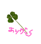 お守りをどうぞ（個別スタンプ：3）