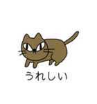 普遍的（ふへんてき）なねこ（個別スタンプ：5）