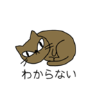 普遍的（ふへんてき）なねこ（個別スタンプ：10）