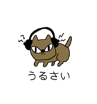 普遍的（ふへんてき）なねこ（個別スタンプ：21）