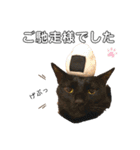 こばねこファミリー日常編（個別スタンプ：5）