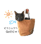 こばねこファミリー日常編（個別スタンプ：12）