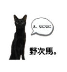 こばねこファミリー日常編（個別スタンプ：37）