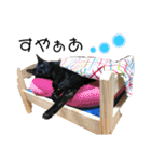 こばねこファミリー日常編（個別スタンプ：38）