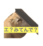 ヨヨ（part..1)（個別スタンプ：5）
