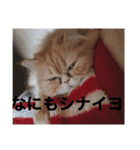 ヨヨ（part..1)（個別スタンプ：7）