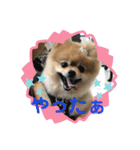 メリジロ3（個別スタンプ：3）