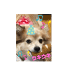 メリジロ3（個別スタンプ：7）