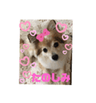 メリジロ3（個別スタンプ：10）