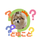 メリジロ3（個別スタンプ：16）