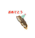 むーちゃんのひとりごと②（個別スタンプ：23）