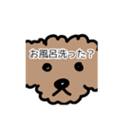 トイプー 家族連絡用（個別スタンプ：2）