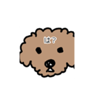 トイプー 家族連絡用（個別スタンプ：3）
