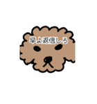 トイプー 家族連絡用（個別スタンプ：4）