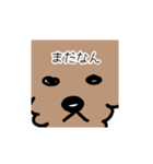トイプー 家族連絡用（個別スタンプ：7）