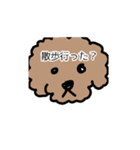 トイプー 家族連絡用（個別スタンプ：8）