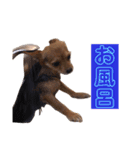 あたちのmix犬6（個別スタンプ：14）