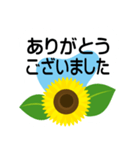 大きめ文字❤お花メッセージ ひまわり（個別スタンプ：7）