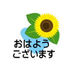 大きめ文字❤お花メッセージ ひまわり（個別スタンプ：9）