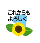 大きめ文字❤お花メッセージ ひまわり（個別スタンプ：21）